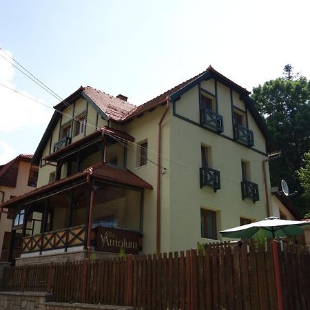 Villa Atriolum BaileTusnad Zimmer foto